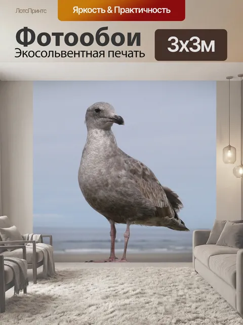 Фотообои Сиберд