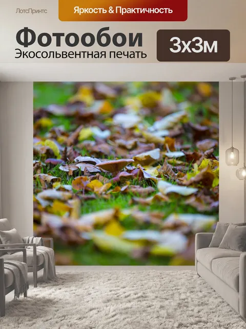 Фотообои грибы