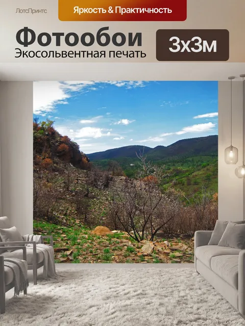 Фотообои вид на покрытые растительностью холмы