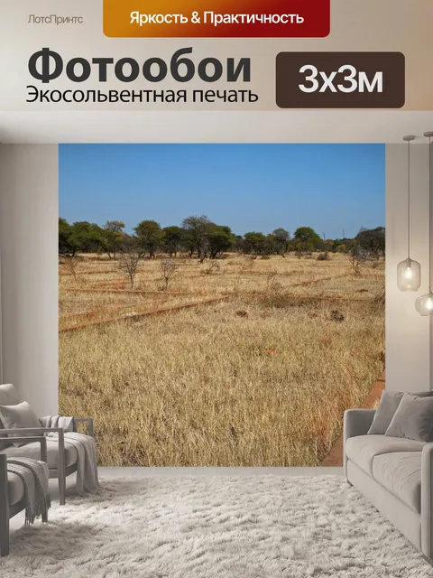 Фотообои остаток крупной бетонной сетки