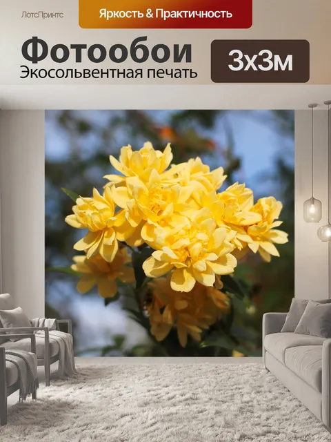 Фотообои Плетистая роза