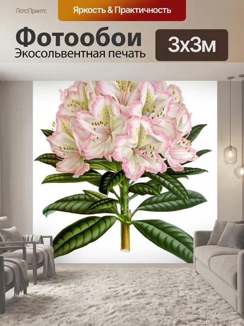 Фотообои Винтажный клипарт цветочная иллюстрация