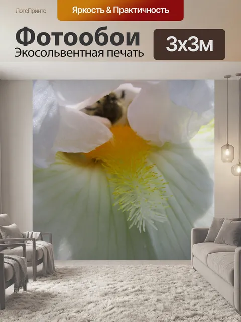 Фотообои Лили