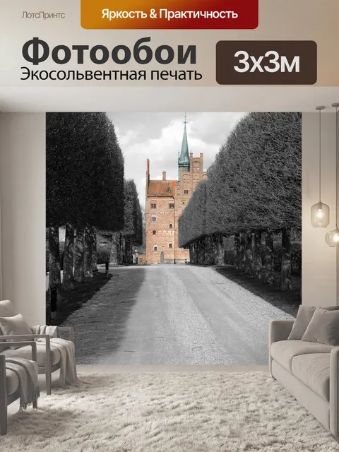 Фотообои Дубовый лес