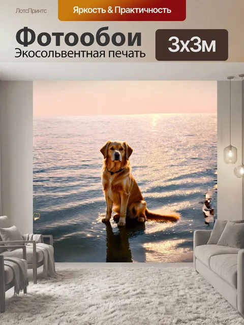 Фотообои золотистый ретривер, элегантно сидящий у отражающего озера в лучах закатного солнца