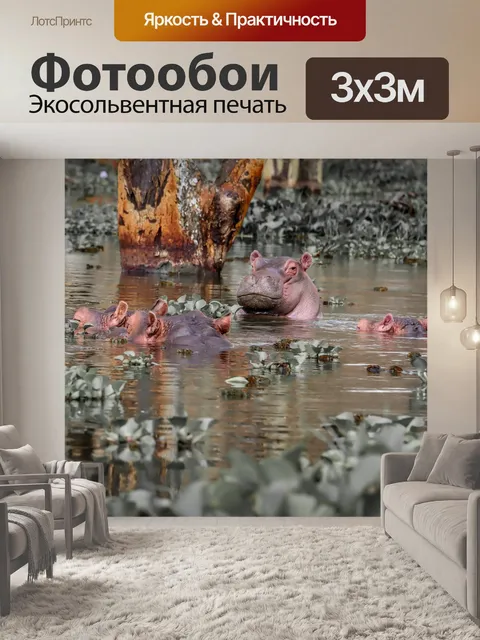 Фотообои Бегемот