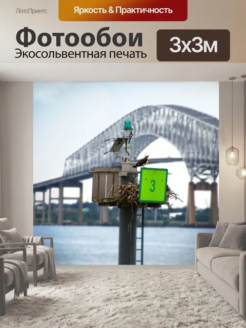 Фотообои Птица