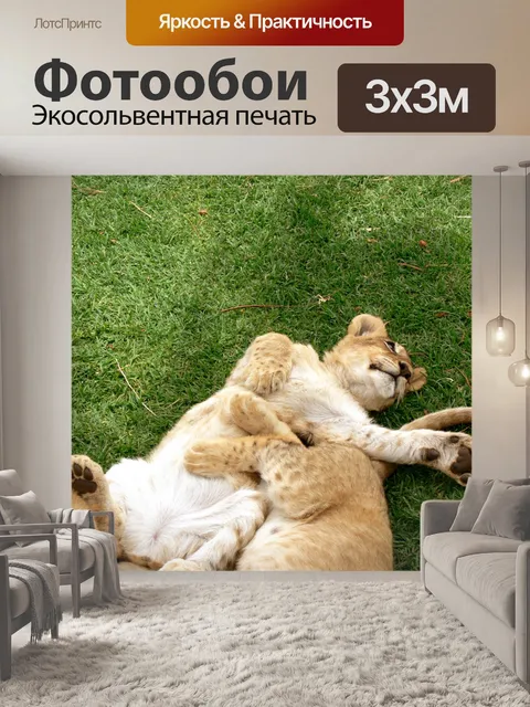 Фотообои Львята играют