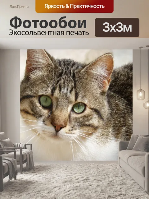 Фотообои Кошачий