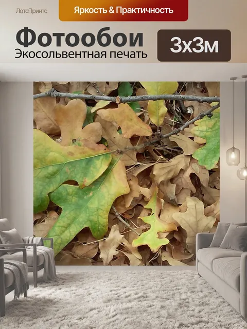 Фотообои Лист