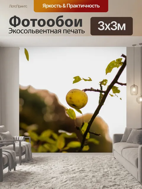 Фотообои Яблоко