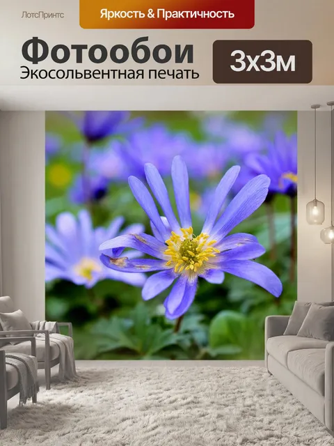 Фотообои Лучевые анемоны