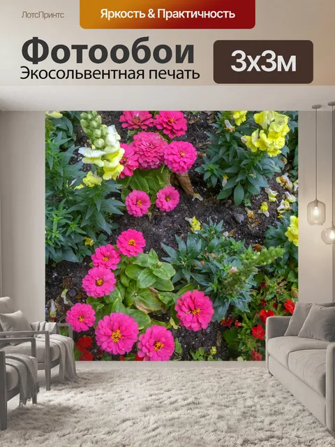 Фотообои вопросительный знак цветов хризантем