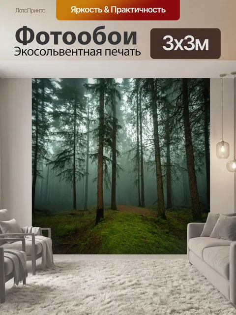 Фотообои лес с завуалированным туманом, скрывающим дальние деревья
