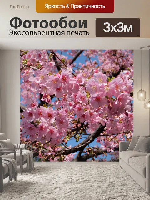 Фотообои Сакура