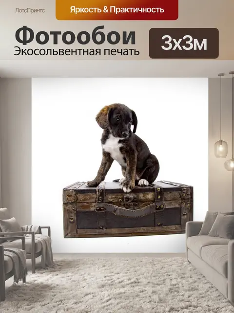 Фотообои Щенок с чемоданом