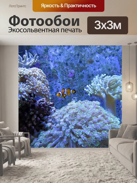Фотообои Коралл