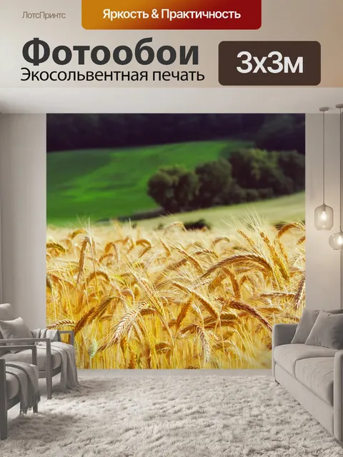 Фотообои Пшеница