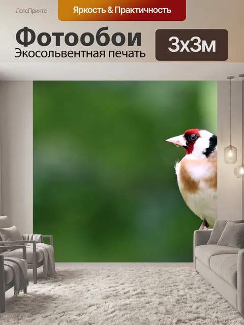 Фотообои Щегол