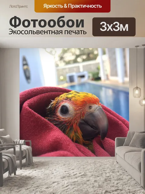 Фотообои Картина