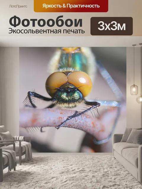 Фотообои Насекомое