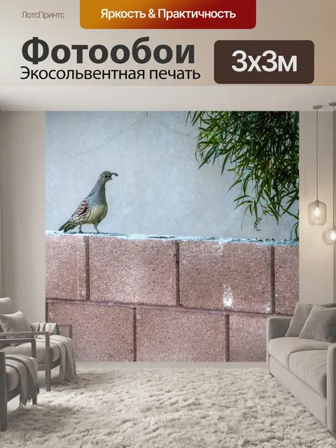 Фотообои Перепелка на стене