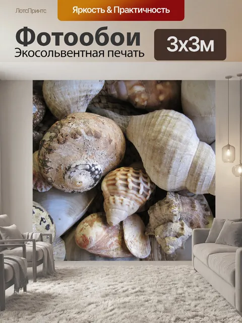Фотообои коллекция морских раковин