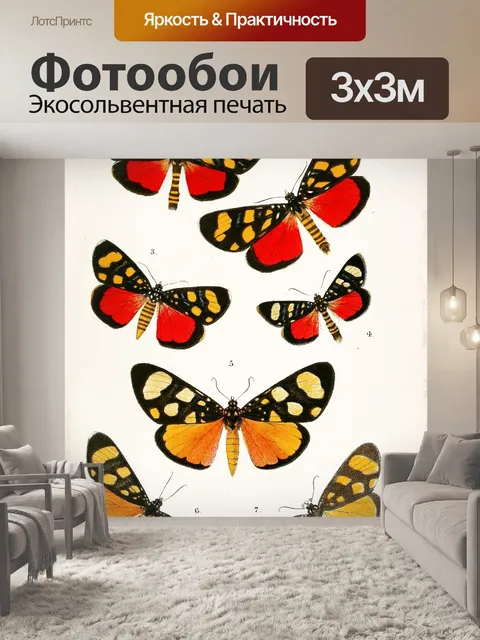 Фотообои Бабочки Винтаж плакат искусство