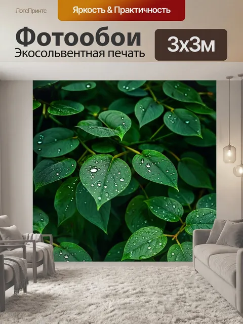 Фотообои Листья темно-зеленого цвета с каплями воды на поверхности