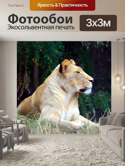 Фотообои Львица