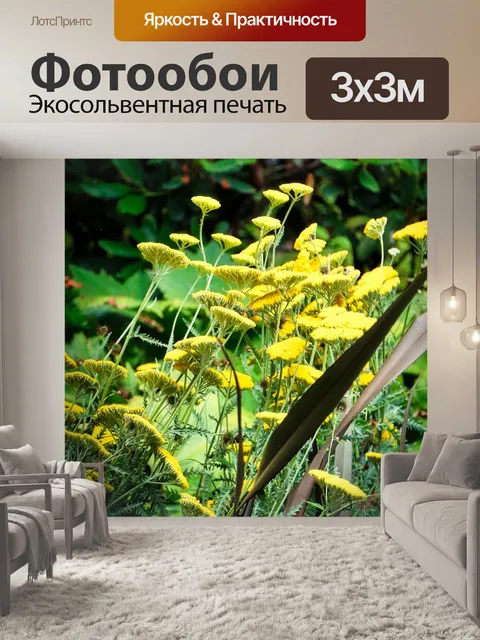 Фотообои Дикий цветок