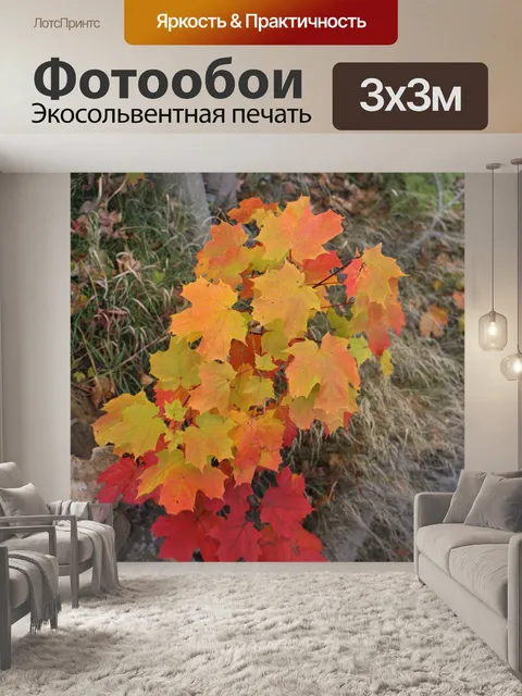 Фотообои Осенний клен и каменная стена