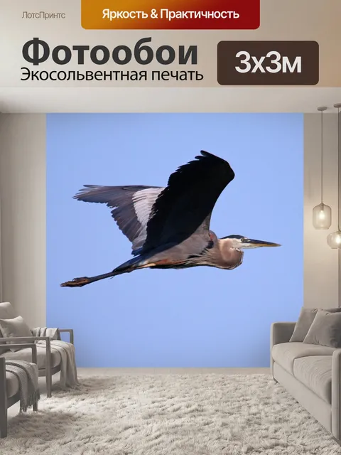 Фотообои Большая голубая цапля
