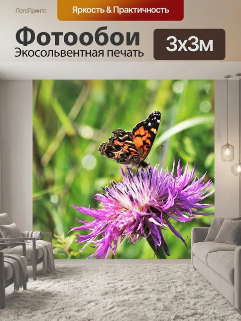 Фотообои Американская леди Бабочка на цветке
