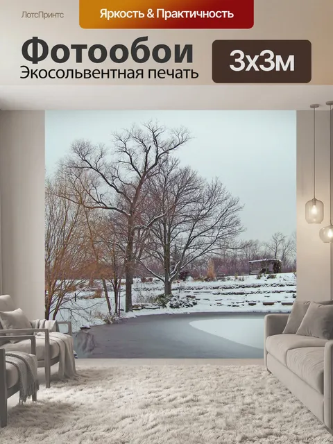 Фотообои Замороженные Пруд