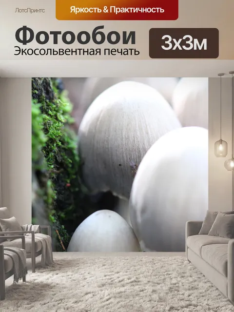 Фотообои Дикие коричневые грибы