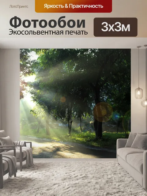 Фотообои Солнечные лучи