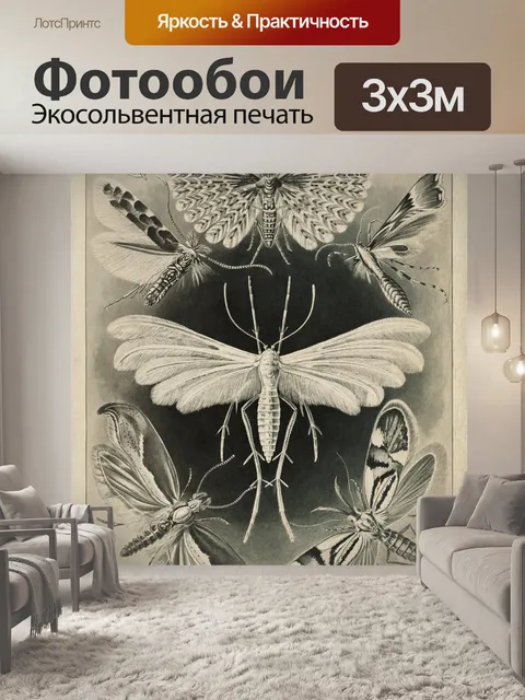 Фотообои Иллюстрация винтажной бабочки