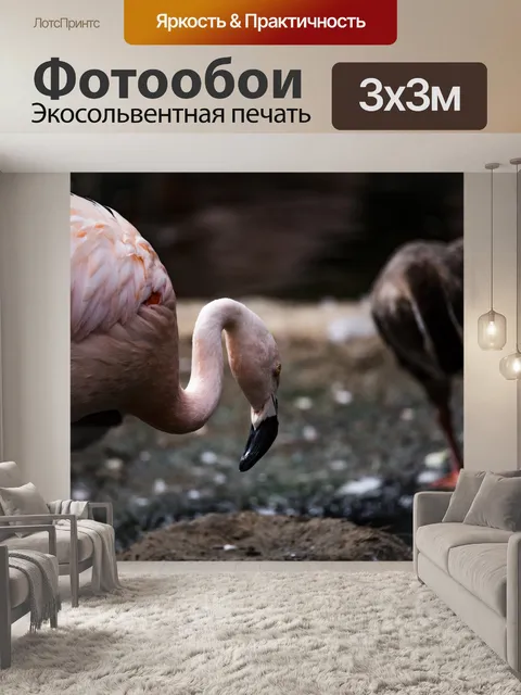 Фотообои Фламинго Животный Фон
