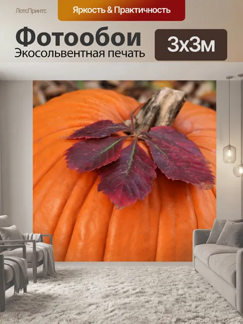 Фотообои Тыква и фиолетовый лист крупным планом