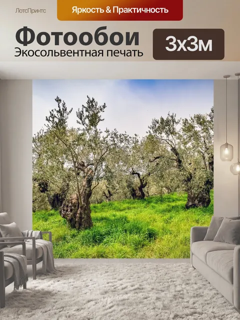 Фотообои Оливковая роща