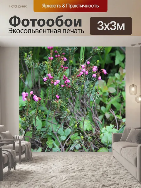 Фотообои Розовые горные цветы