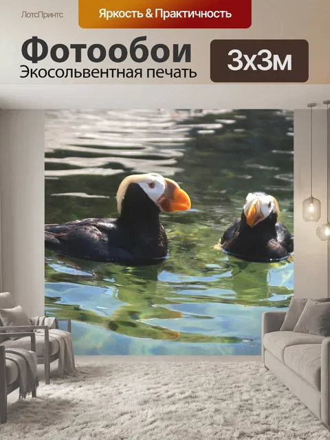 Фотообои Макароны буревестник