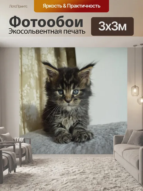 Фотообои Мейнкун