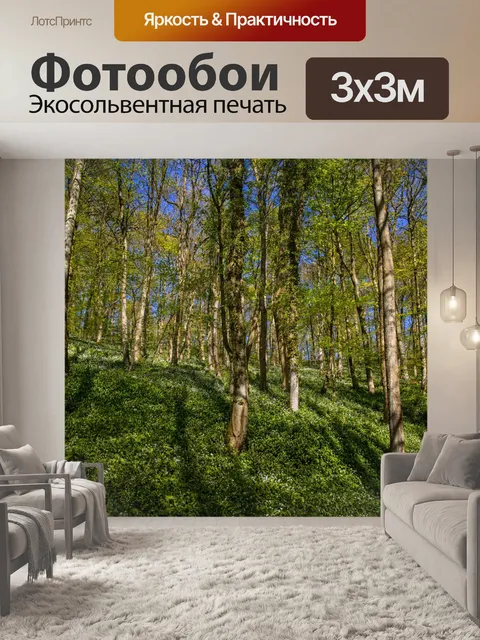 Фотообои Лес в Скиптоне