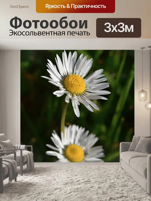 Фотообои Цветы