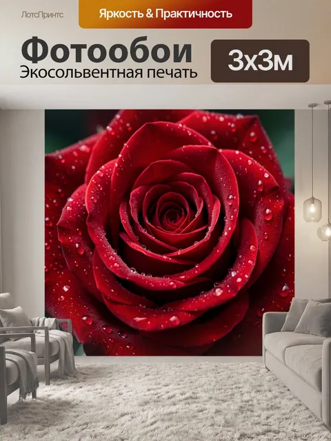 Фотообои Красная роза с каплями росы