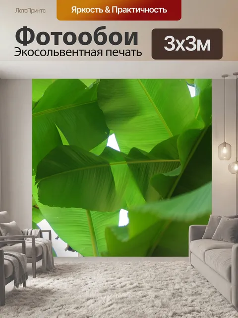 Фотообои Банановых листьев