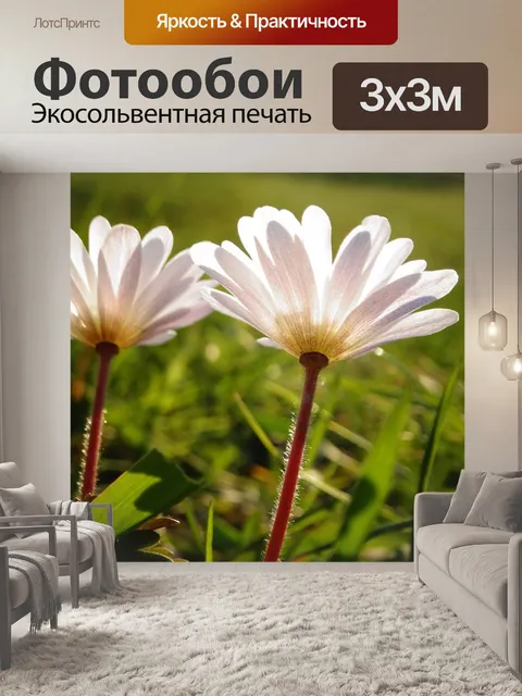 Фотообои Цветы