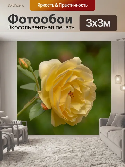 Фотообои Цветы